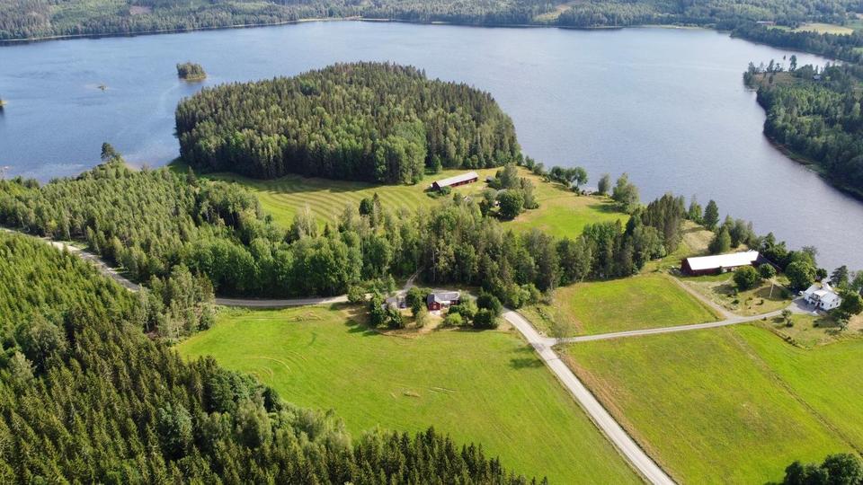 Ferienimmobilie Essen Huttrop - 98&euro; | Angebot:24830918