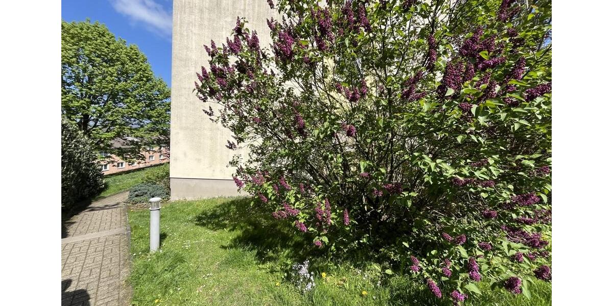 Etagenwohnung Remscheid Lüttringhausen - 3 Zimmer, 59 m&sup2;, 439&euro; | Angebot:26462515