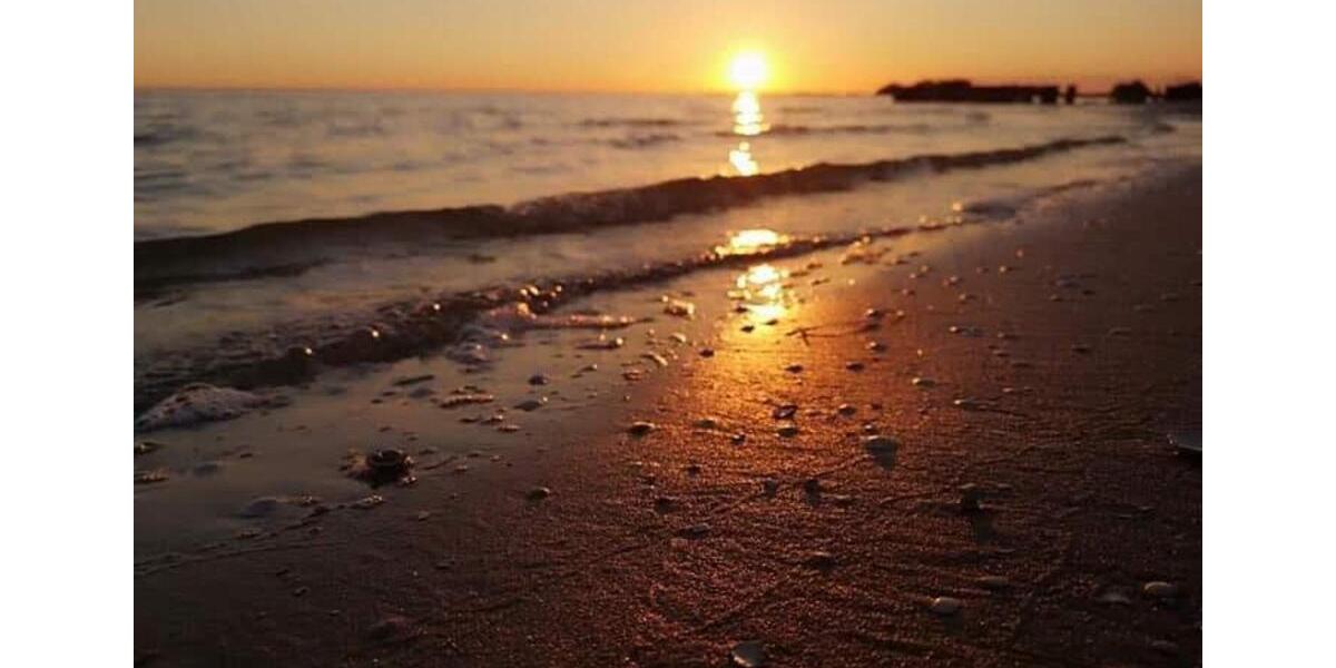 Ferienimmobilie Hilden Kalstert - 90&euro; | Angebot:22585070