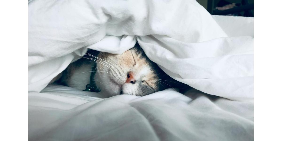 Einfamilienhaus Bochum Eppendorf - 4 Zimmer, 155 m&sup2;, 2.300&euro; | Angebot:24629826