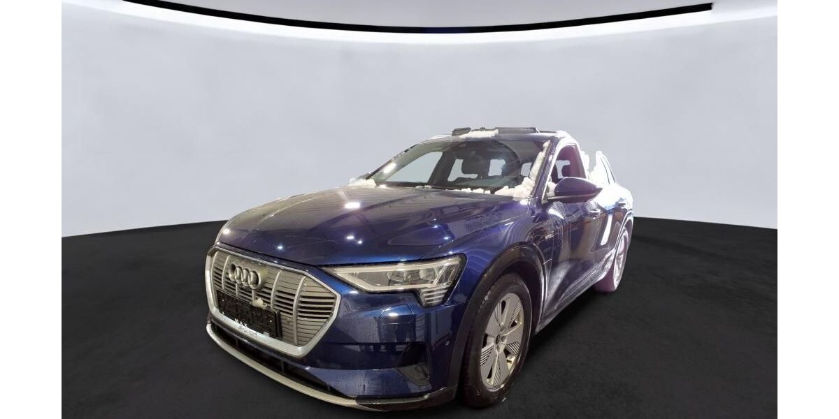 Audi e-tron 32.673 km 36.883 &euro; Hagen 58091