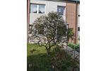 Reihenhaus Solingen - 4 Zimmer, 120 m&sup2;, 395.000&euro; | Angebot:26537681