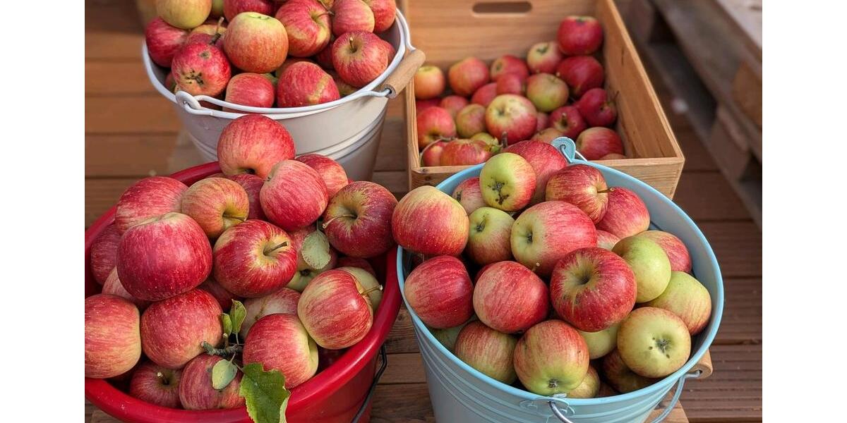 Doppelhaushälfte Bochum Bochum-Ost - 9 Zimmer, 170 m&sup2;, 600.000&euro; | Angebot:25945103