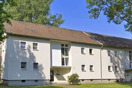 Wohnung Gelsenkirchen Bismarck - 2 Zimmer, 51 m&sup2;, 369&euro; | Angebot:26098446