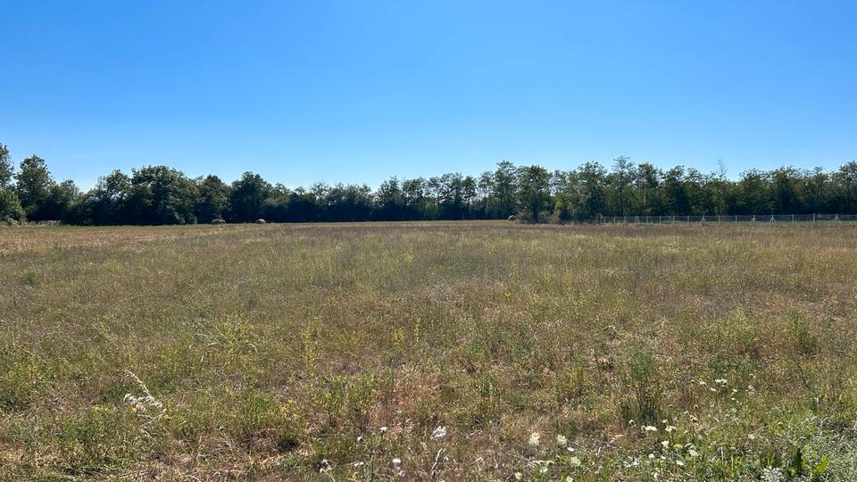 Ferienimmobilie Düsseldorf Stadtbezirk 7 - 1.198&euro; | Angebot:17613034