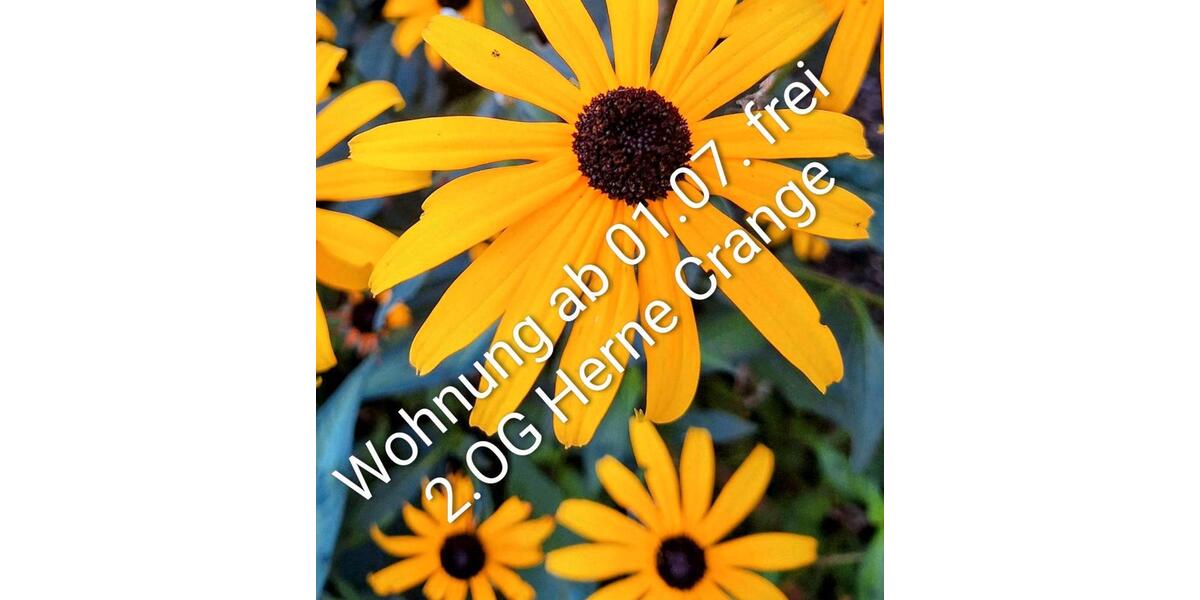 Etagenwohnung Herne Wanne - 2 Zimmer, 54 m&sup2;, 566&euro; | Angebot:26032936