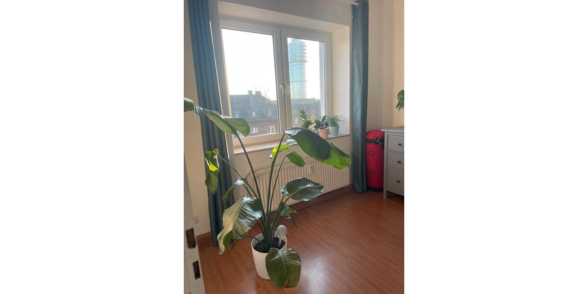 Etagenwohnung Bochum Wiemelhausen - 3 Zimmer, 90 m&sup2;, 1.100&euro; | Angebot:26604529