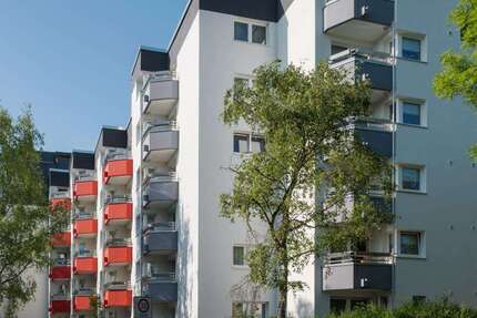 Wohnung Bochum Wiemelhausen - 2 Zimmer, 50 m&sup2;, 324&euro; | Angebot:26656702