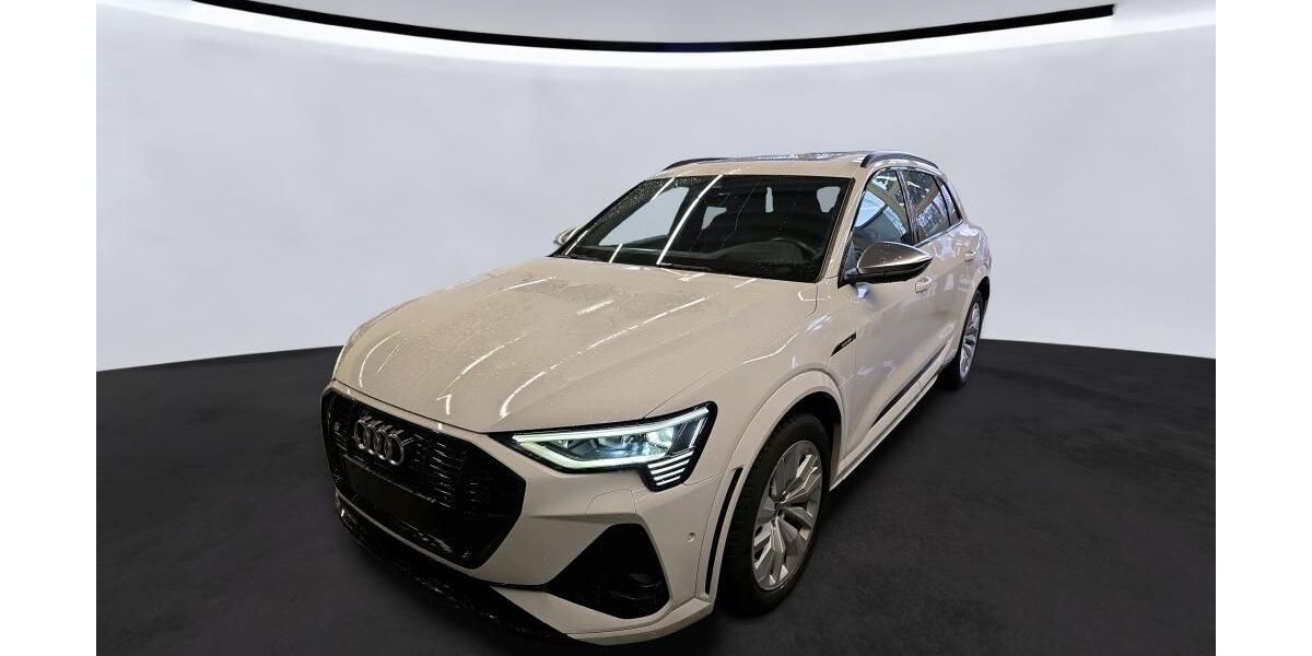 Audi e-tron 24.171 km 45.370 &euro; Hagen 58091