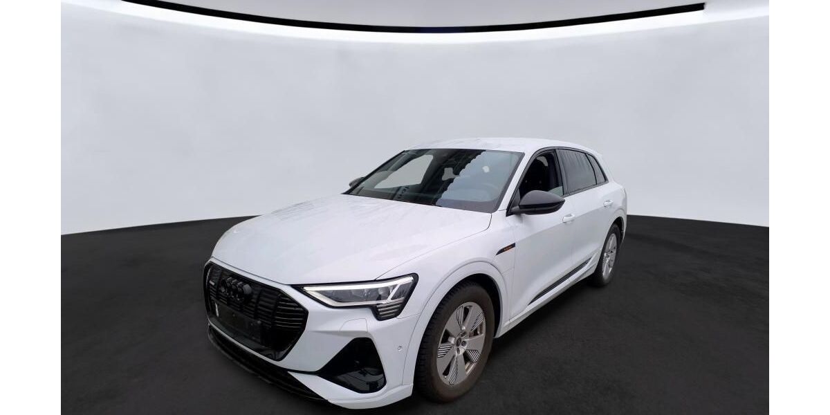 Audi e-tron 61.900 km 34.854 &euro; Hagen 58091