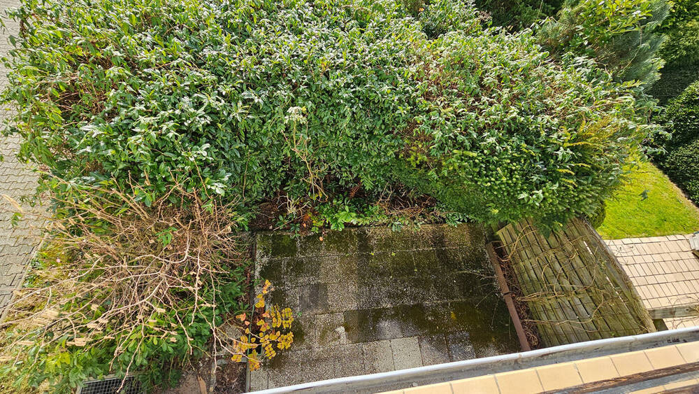 Doppelhaushälfte Odenthal / Blecher Blecher - 4 Zimmer, 111 m&sup2;, 359.000&euro; | Angebot:26017456