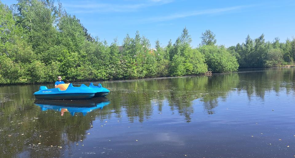 Ferienimmobilie Gelsenkirchen - 199&euro; | Angebot:18587183