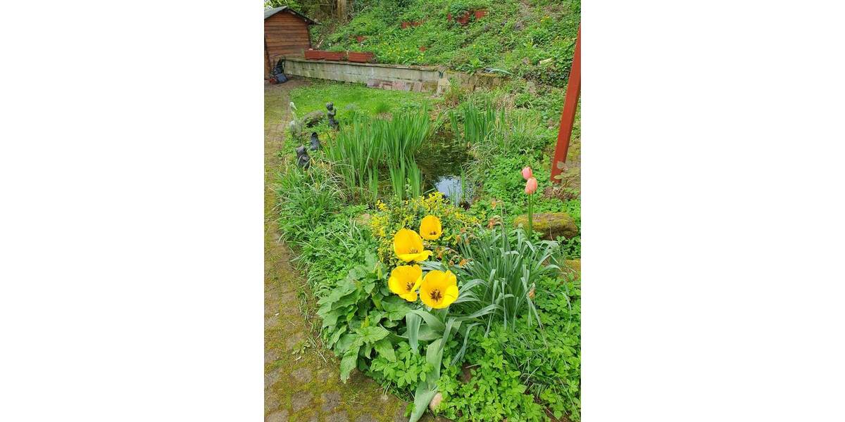 Mehrfamilienhaus, Wohnhaus Velbert Mitte - 9 Zimmer, 220 m&sup2;, 579.000&euro; | Angebot:25671644