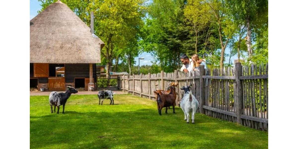 Ferienimmobilie Wuppertal Elberfeld - 78&euro; | Angebot:22208350