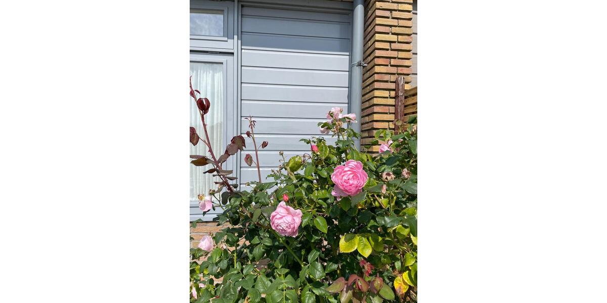 Ferienimmobilie Ennepetal - 650&euro; | Angebot:26003446