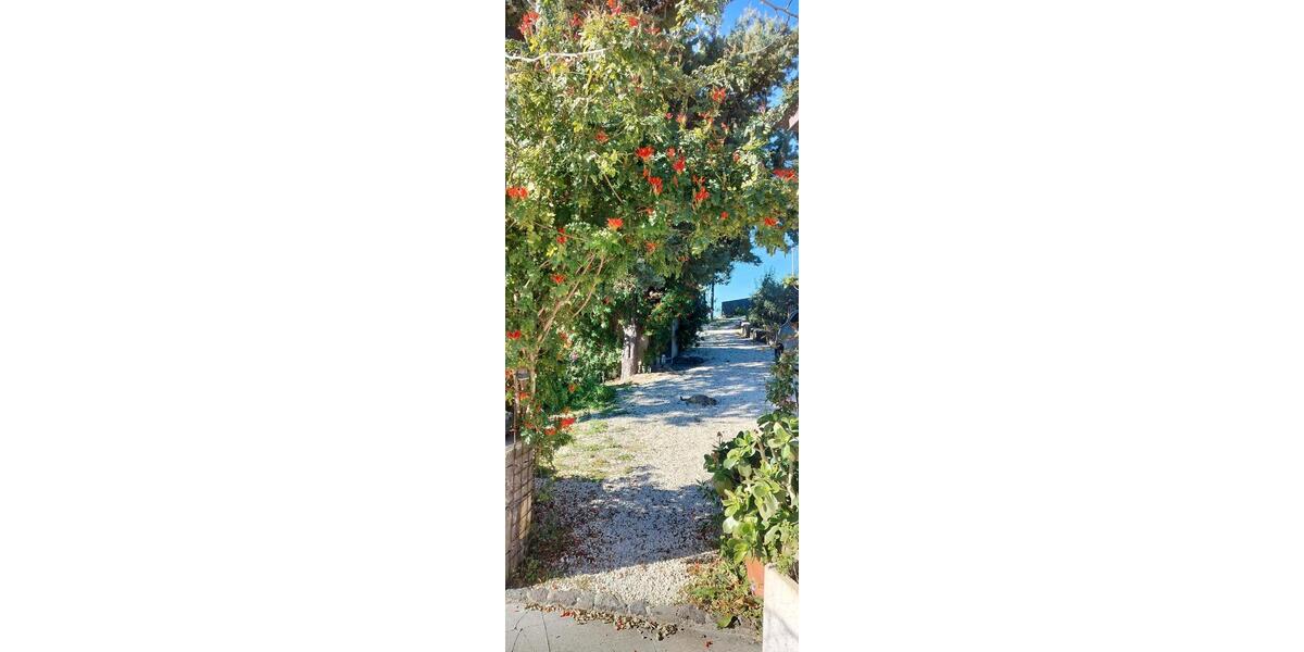 Ferienimmobilie Velbert Velbert-Mitte - 150&euro; | Angebot:24449944