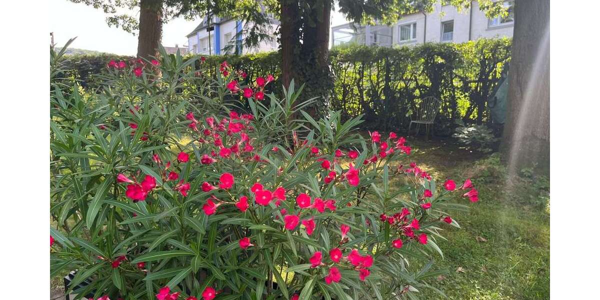 Grundstück Hagen Dahl - 133.000&euro; | Angebot:22282828