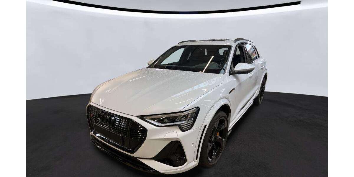 Audi e-tron 77.349 km 41.274 &euro; Hagen 58091