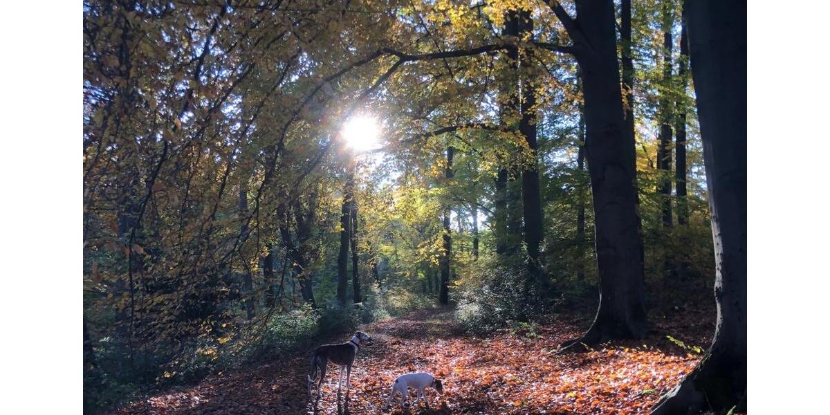 Ferienimmobilie Ratingen Lintorf - 105&euro; | Angebot:22881593