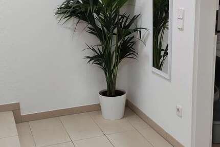 Wohnung Odenthal - 2 Zimmer, 58 m&sup2;, 790&euro; | Angebot:26100124