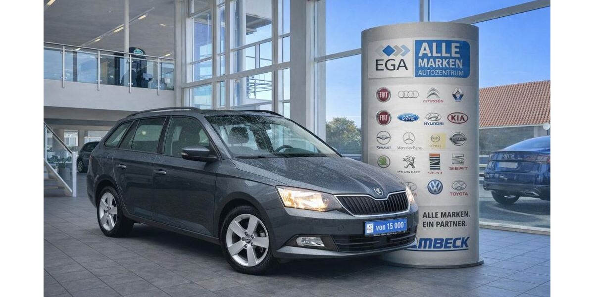 Skoda Fabia 48.900 km 12.187 &euro; Wermelskirchen 42929
