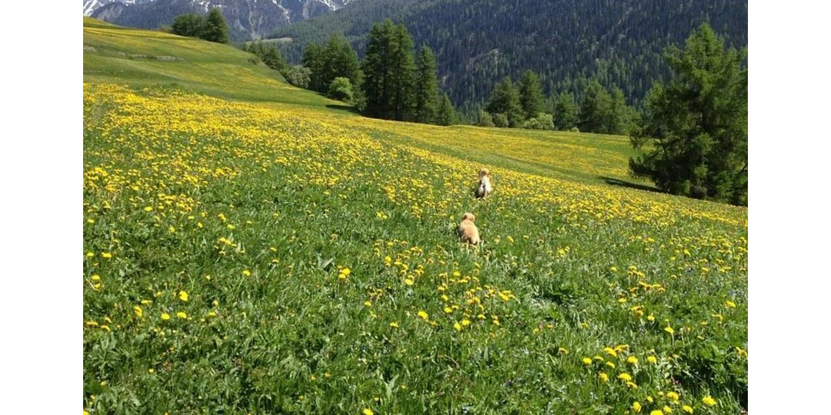 Ferienimmobilie Wuppertal Elberfeld - 170&euro; | Angebot:25418794