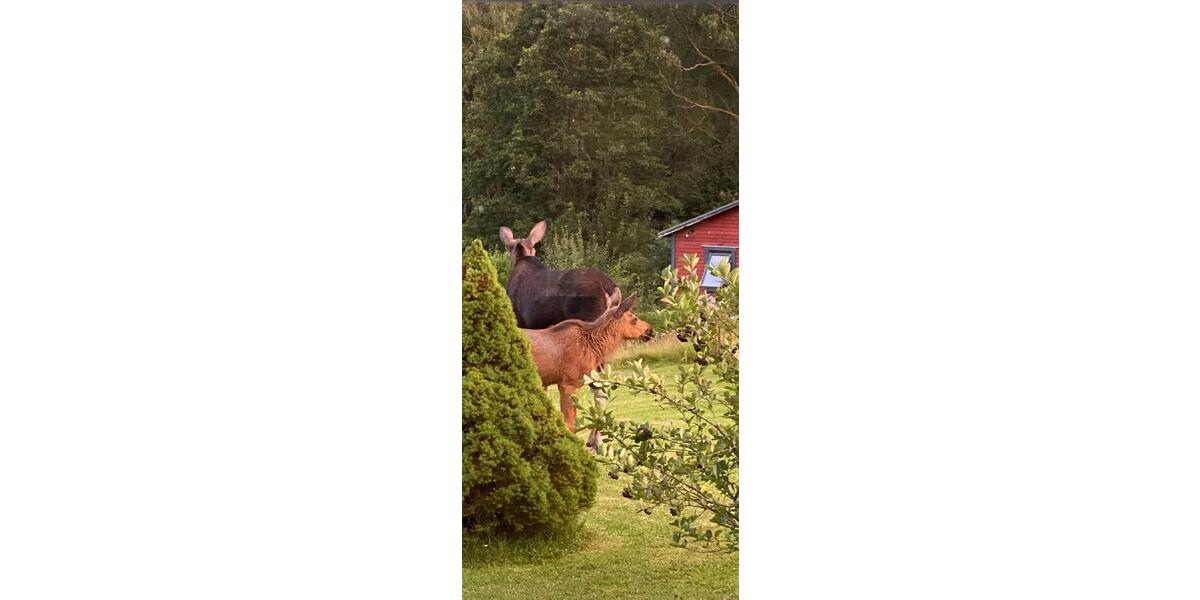 Ferienimmobilie Hilden - 640&euro; | Angebot:9663548