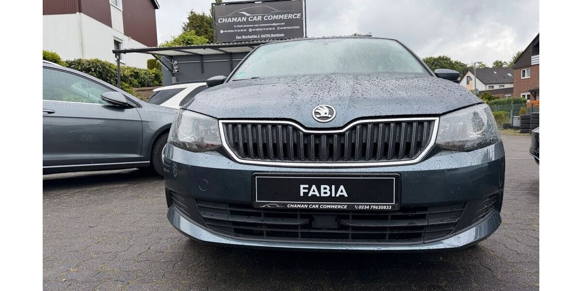 Skoda Fabia 221.354 km 2.950 &euro; Bochum 44791