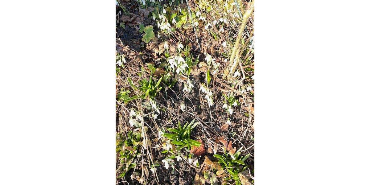 Reihenmittelhaus Wuppertal Elberfeld - 6 Zimmer, 150 m&sup2;, 425.000&euro; | Angebot:25703943