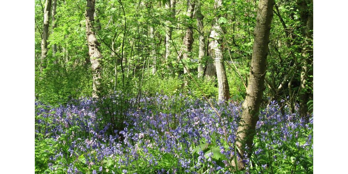 Ferienimmobilie Wuppertal Gemarkung Ronsdorf - 650&euro; | Angebot:25445243