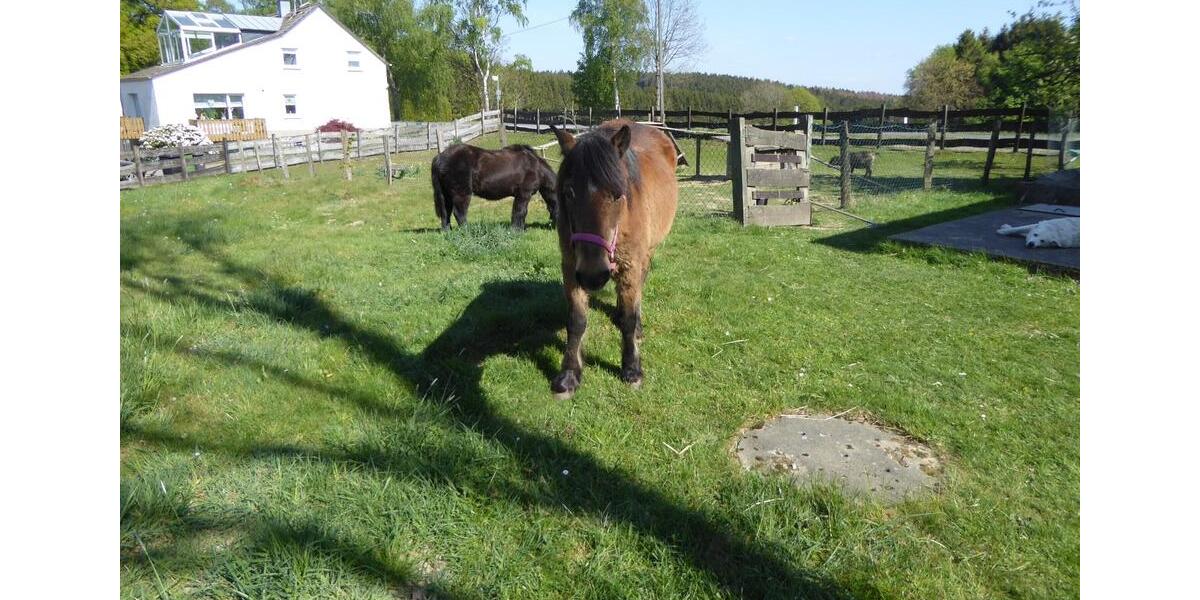 Ferienimmobilie Hückeswagen - 42&euro; | Angebot:15749014