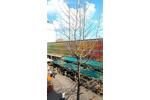 Gewerbeobjekt Bochum - 500&euro; | Angebot:26348277
