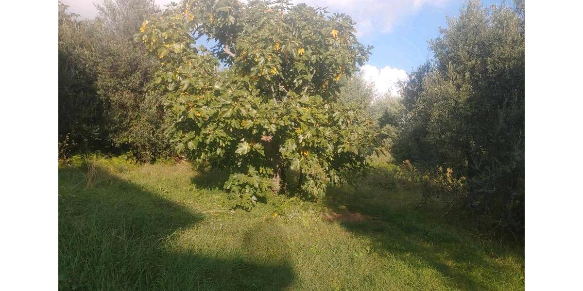 Ferienimmobilie Heiligenhaus - 170&euro; | Angebot:23139007