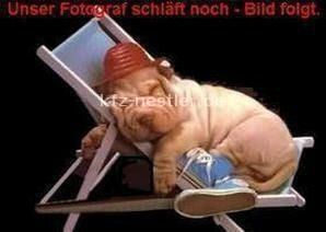 BMW X6 9.950 km 92.900 &euro; Essen 45134