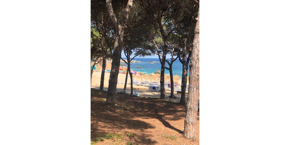 Ferienimmobilie Erkrath - 100&euro; | Angebot:25806274