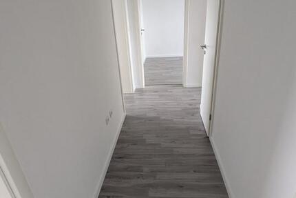 Wohnung Gelsenkirchen Gelsenkirchen-Nord - 3 Zimmer, 65 m&sup2;, 425&euro; | Angebot:25569518