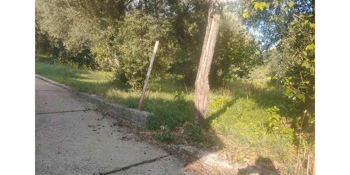 Ferienimmobilie Heiligenhaus - 170&euro; | Angebot:23139007