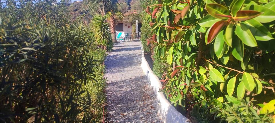 Ferienimmobilie Düsseldorf Stadtbezirk 9 - 105&euro; | Angebot:25313659