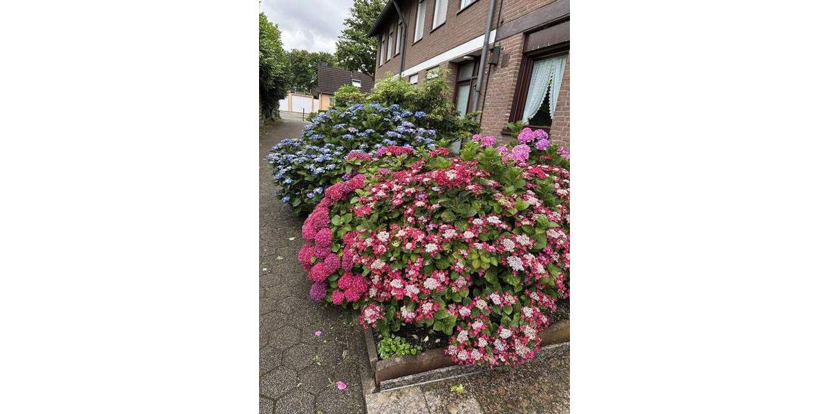 Reihenendhaus Essen Schonnebeck - 5 Zimmer, 145 m&sup2;, 419.000&euro; | Angebot:25749968