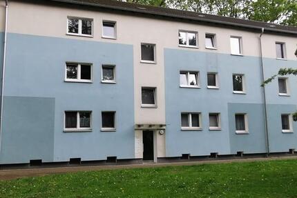Wohnung Gelsenkirchen Buer - 3.5 Zimmer, 60 m&sup2;, 451&euro; | Angebot:25891660