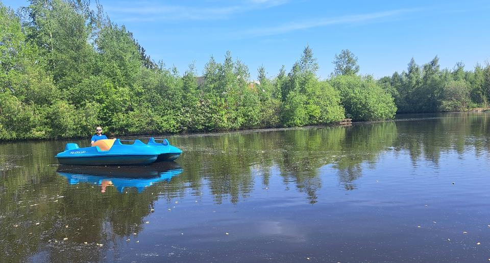 Ferienimmobilie Gelsenkirchen - 179&euro; | Angebot:18587184