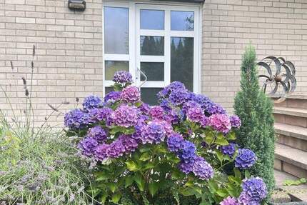 Haus Odenthal Blecher - 5 Zimmer, 121 m&sup2;, 390.000&euro; | Angebot:25664963