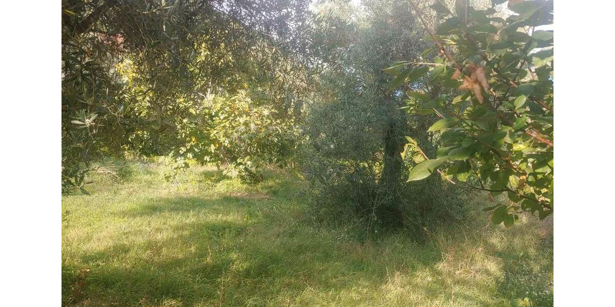 Ferienimmobilie Heiligenhaus - 170&euro; | Angebot:23139007