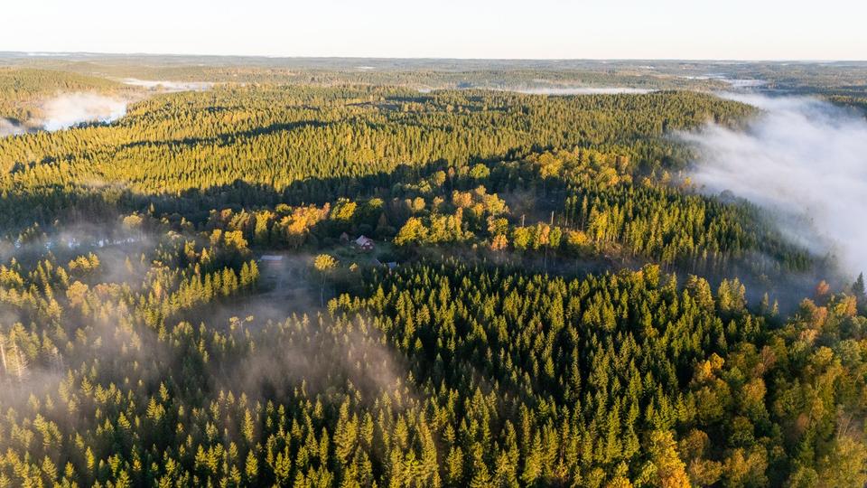 Ferienimmobilie Hilden - 640&euro; | Angebot:9663548